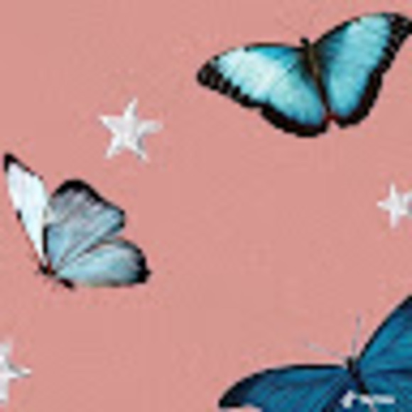 alanan_567
